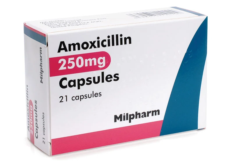 Amoxicillin